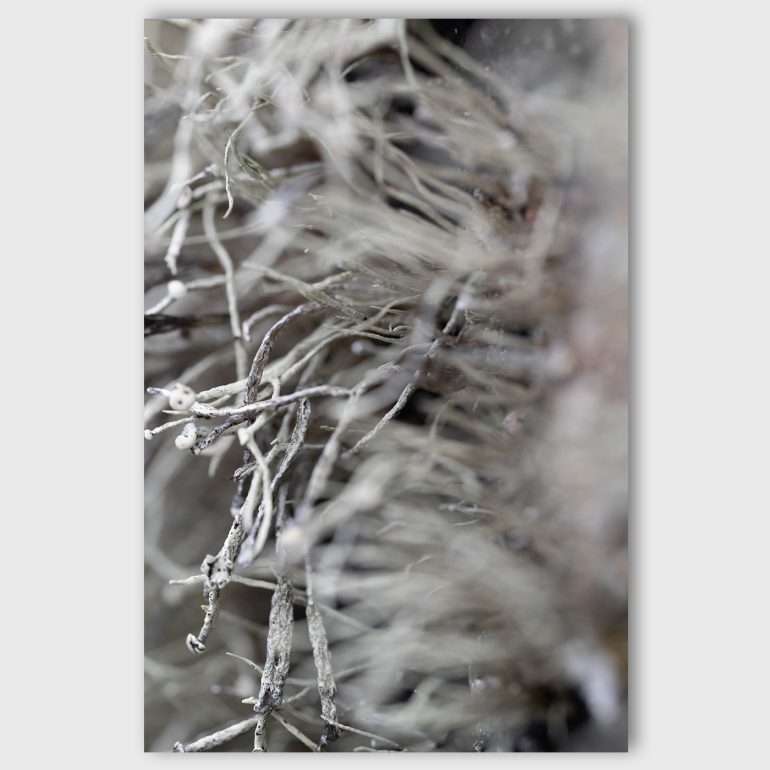 Beach Findings wanddecoratie met grijze strandstructuur op het Dingle schiereiland, Ierland