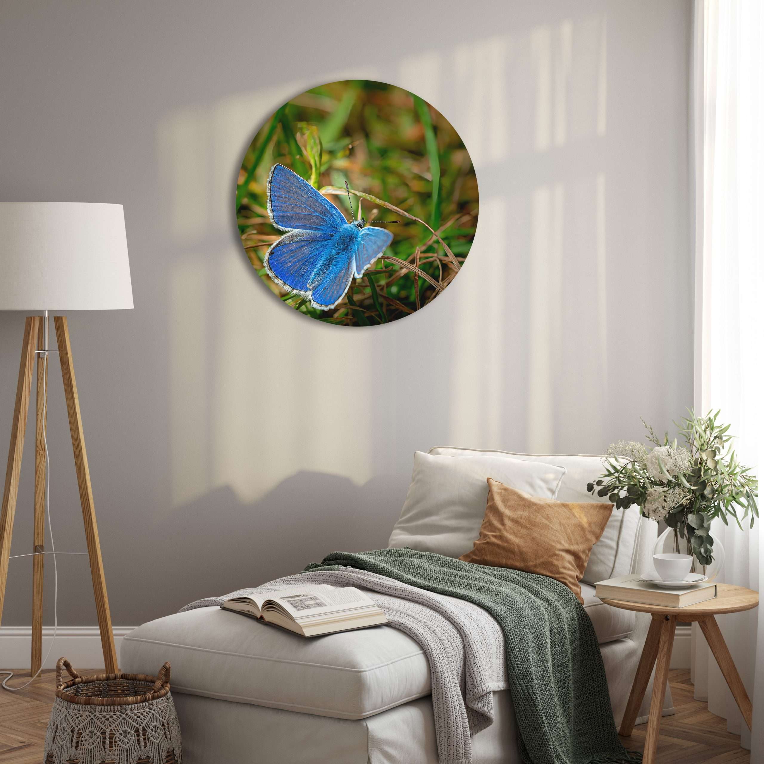 Wandcirkel Bluetterfly - Macrofoto van Common Blue Butterfly bij Loop Head, Ierland