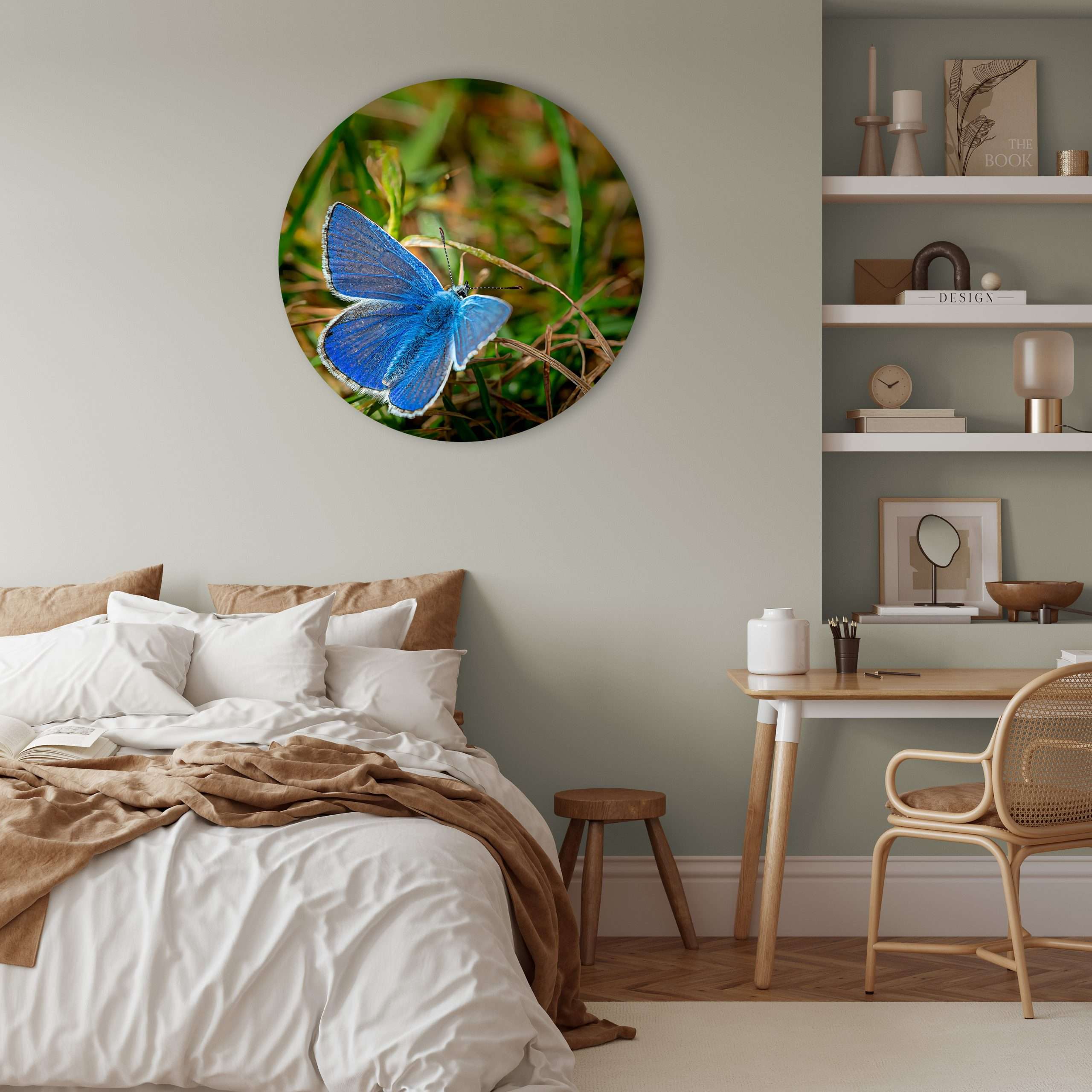 Wandcirkel Bluetterfly - Macrofoto van Common Blue Butterfly bij Loop Head, Ierland