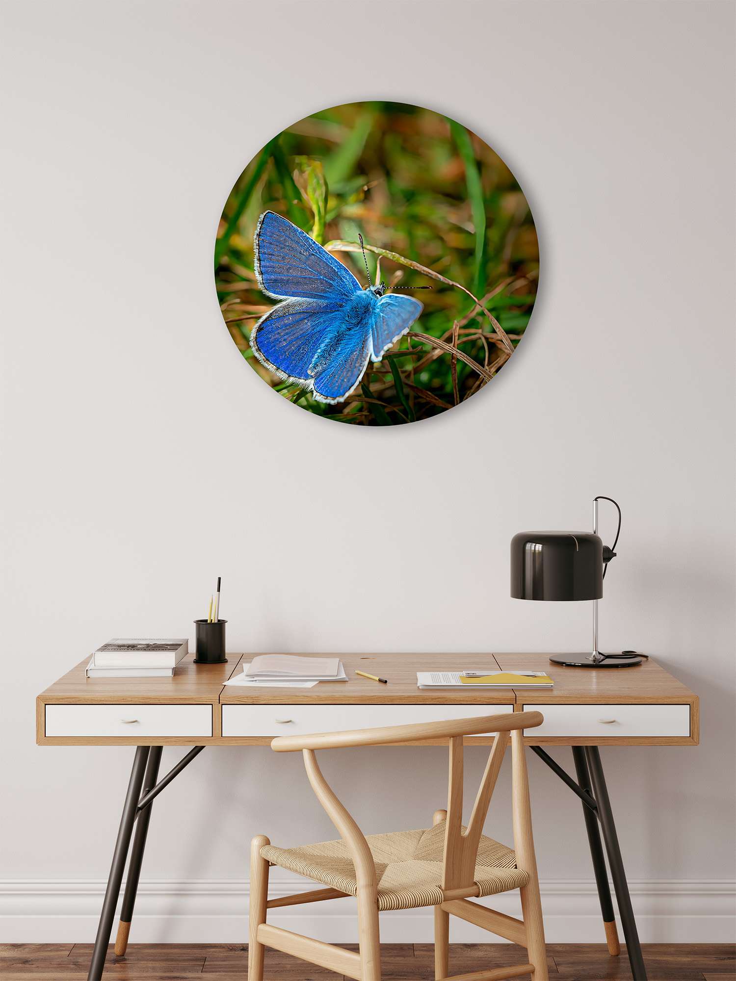 Wandcirkel Bluetterfly - Macrofoto van Common Blue Butterfly bij Loop Head, Ierland