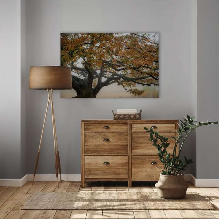 Wanddecoratie Beauty Comes With Age - Majestueuze Boom Friesland