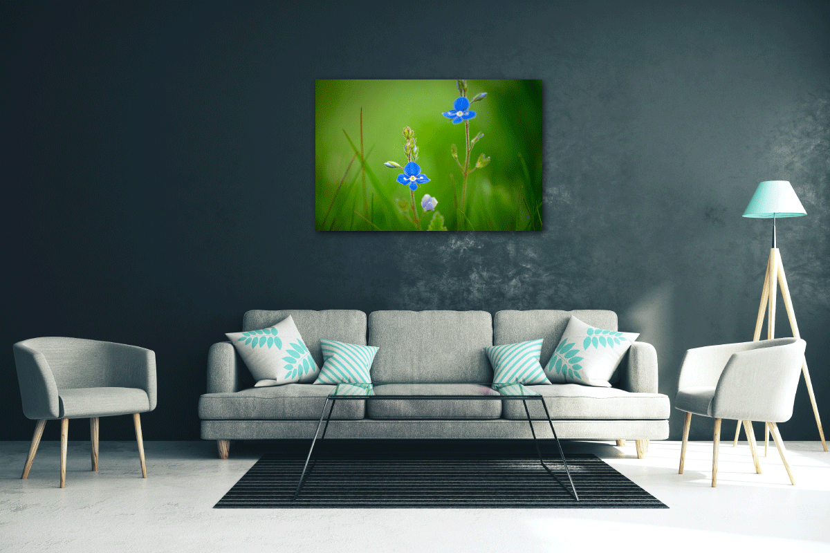 wanddecoratie blue beauties 03