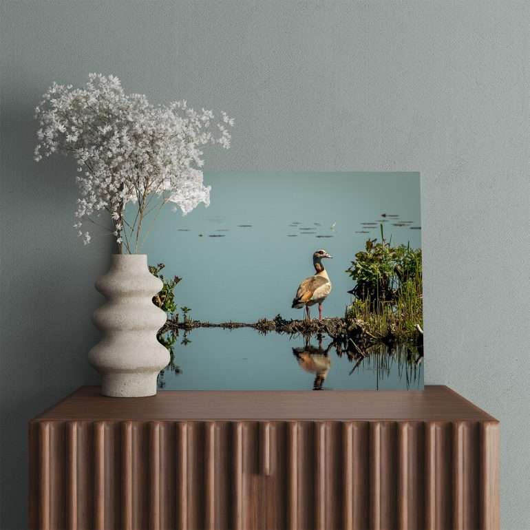 Wanddecoratie Donald met eend bij spiegelglad meertje