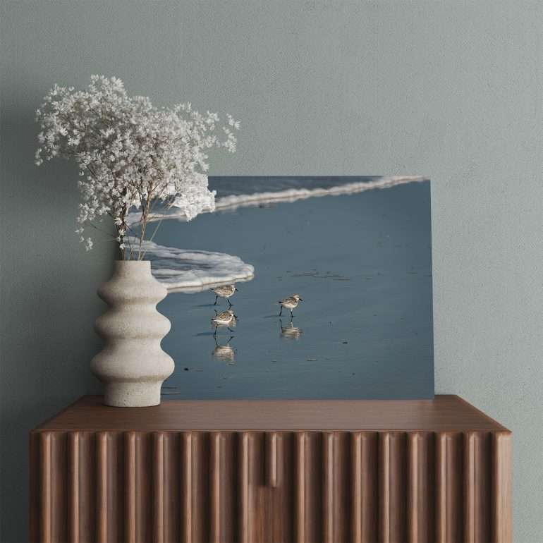 Wanddecoratie Follow Me met strandlopers op Schiermonnikoog