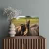 Wanddecoratie Funny Face met wilde paarden in het Lauwersmeergebied