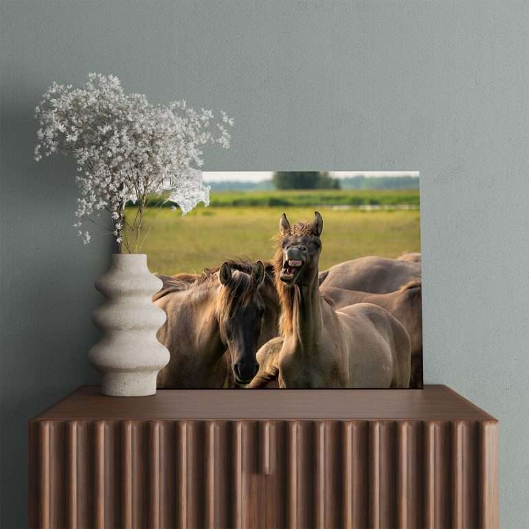 Wanddecoratie Funny Face met wilde paarden in het Lauwersmeergebied