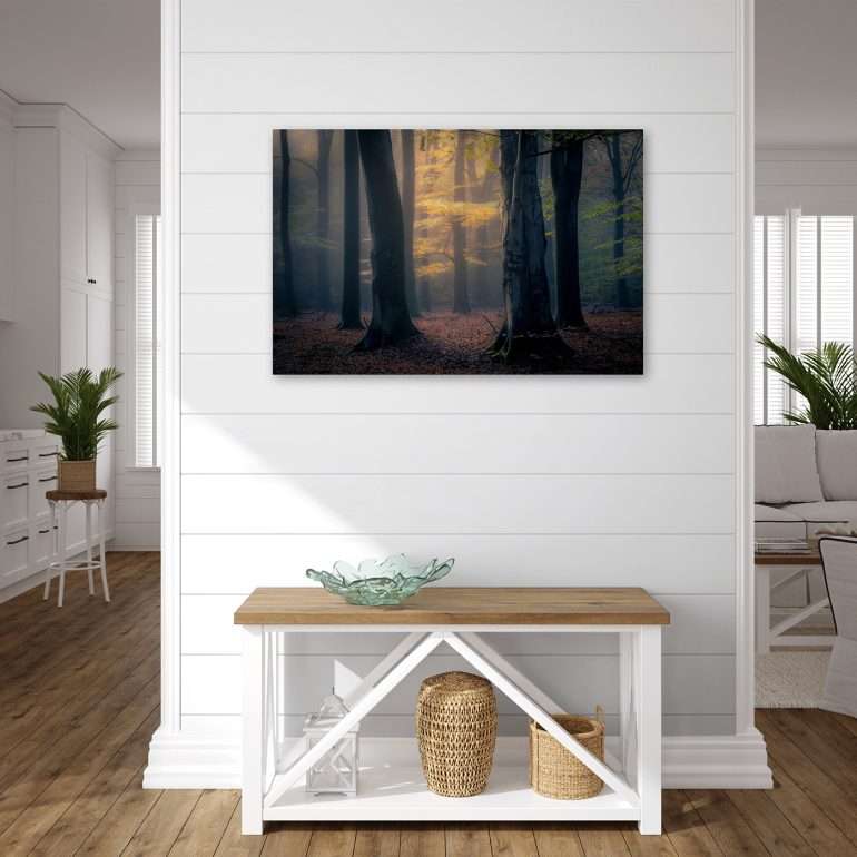 Wanddecoratie In The Spotlight - Herfstfoto van Verlichte Boom bij Bakkefean