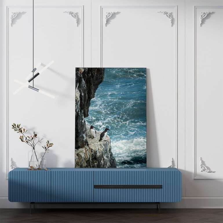 Wanddecoratie No Fear met zeekoeten die van rotsen duiken aan de Ierse kust