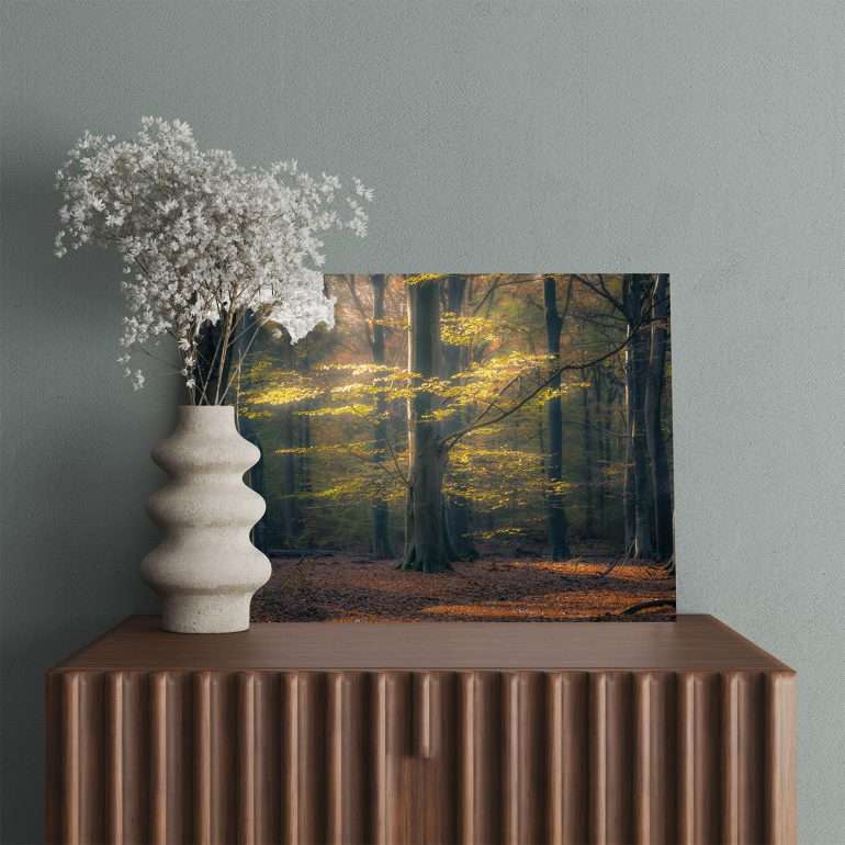 Wanddecoratie On Stage - Herfstfoto van Boom met Zonnestralen in Bossen bij Bakkevean