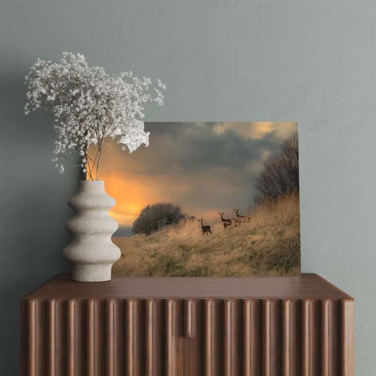 Wanddecoratie Three of Us - Drie nieuwsgierige reeën aan de kust van Denemarken