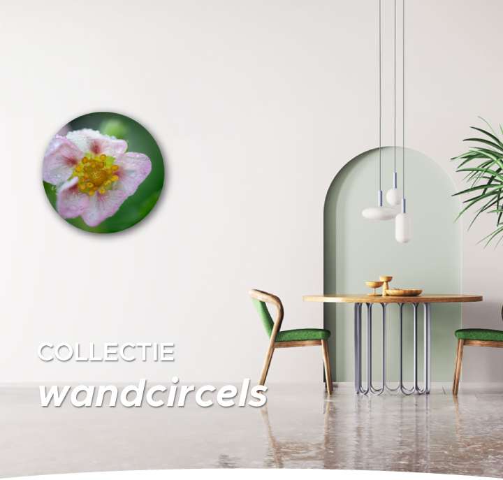 Wandcircels