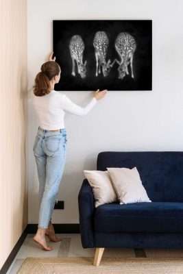 inspiratie 09 02 comp