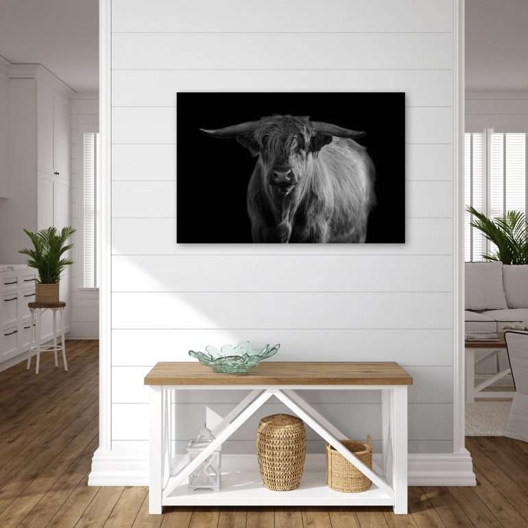 wanddecoratie curious schotse hooglander in zwart wit