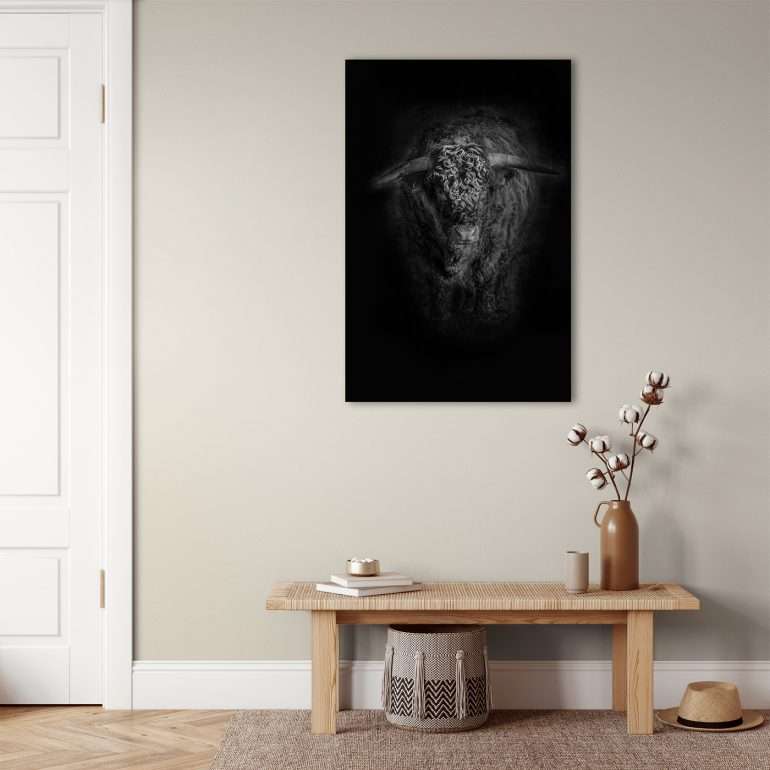 Wanddecoratie van een Schotse Hooglander in de winter in zwart-wit