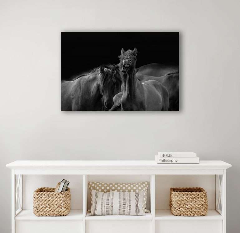 Wanddecoratie Funny Face wild paard dat een gekke bek trekt in zwart-wit