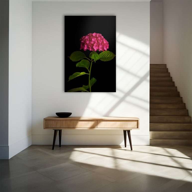 Dark Elegance wanddecoratie met hortensia op een donkere achtergrond