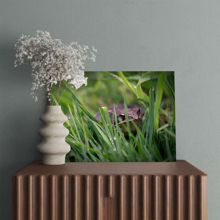 Hidden Hopper wanddecoratie met kikker in vochtige gras
