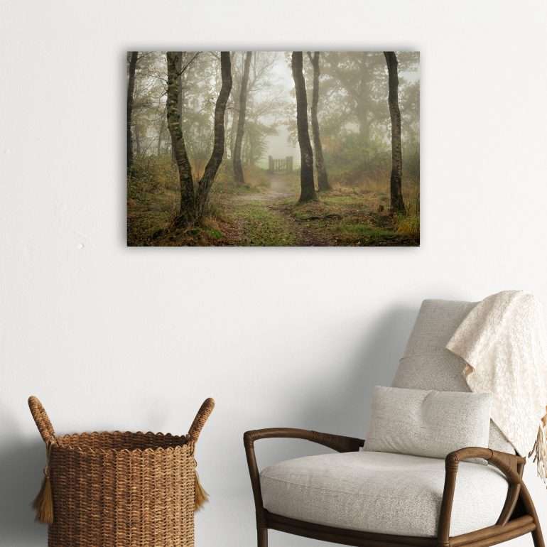 Misty Birch Path wanddecoratie met mistig herfsttafereel in Bakkefean, Friesland