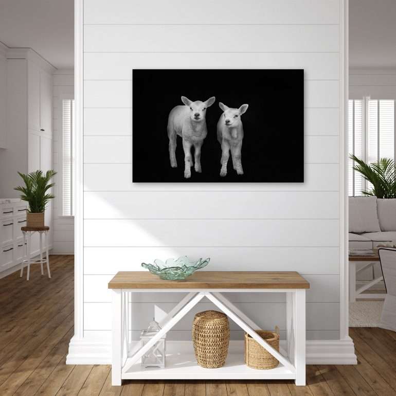 Zwart wit wanddecoratie