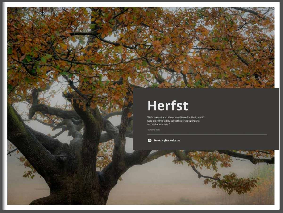 boek Herfst - De Pracht van de Natuur in Beeld