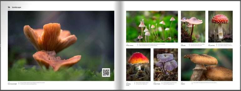 boek Herfst - De Pracht van de Natuur in Beeld