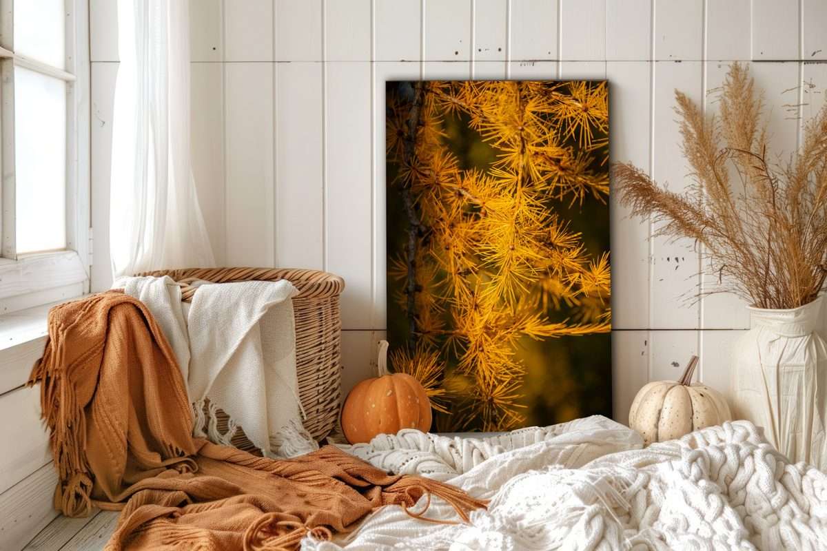 Tips voor een warm en gezellig herfstinterieur