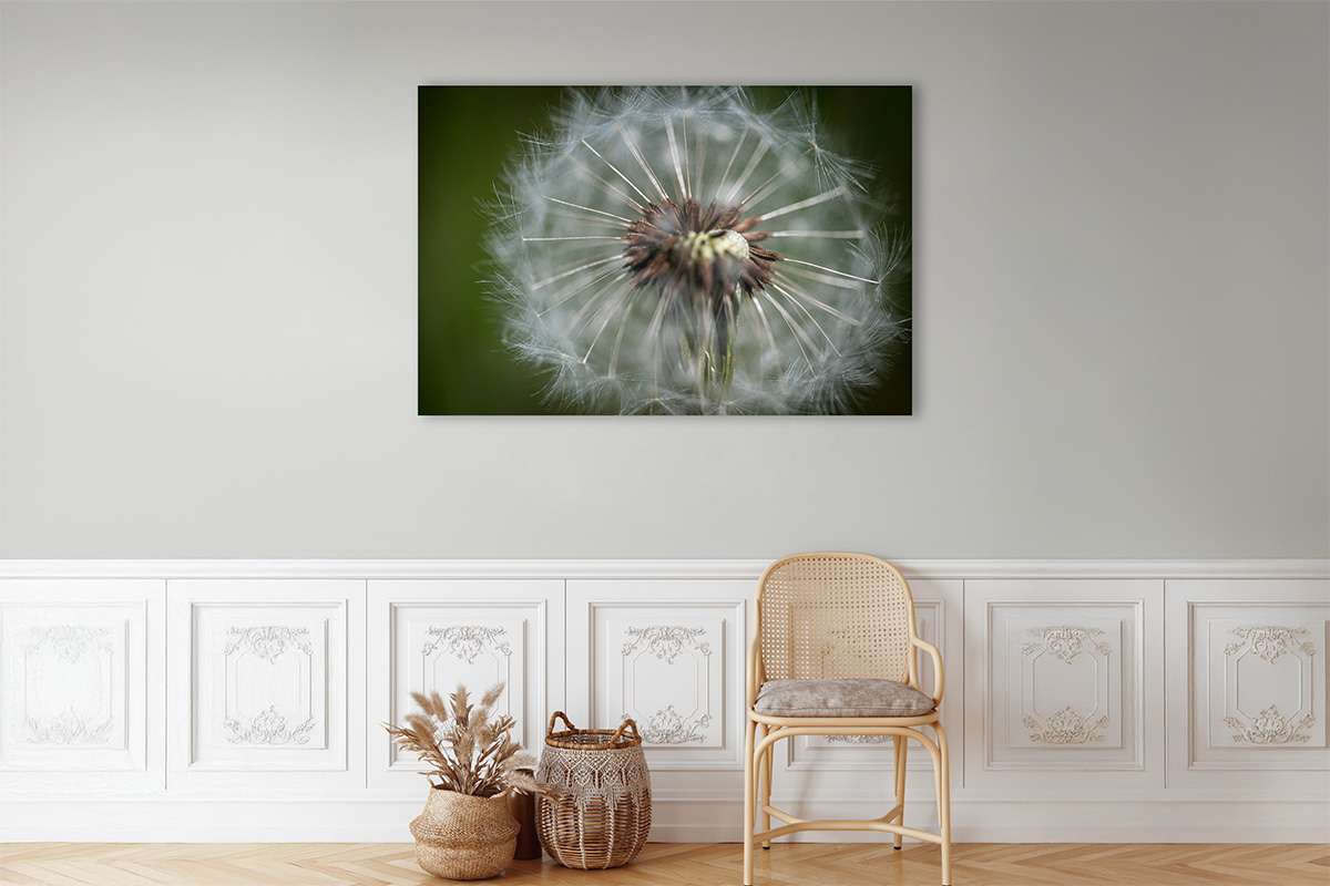 Macro Natuurkunst - Verborgen Schoonheid van Dichtbij