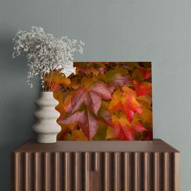 Wanddecoratie Red Red Leaves – Rode herfstbladeren als wanddecoratie