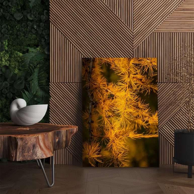Wanddecoratie Yellow Larches – Gele lariksen in herfstkleuren