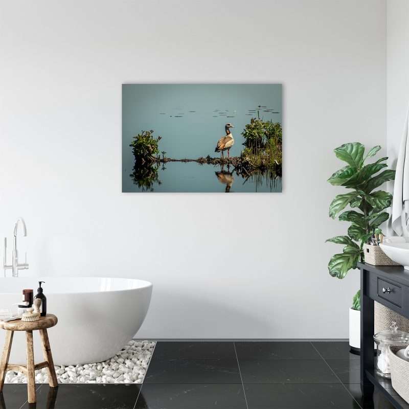 Wanddecoratie voor de badkamer en toilet