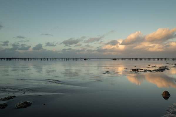 natuurfotografie - foto van de wadden met een prachtige spiegeling