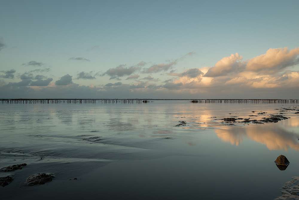 natuurfotografie - foto van de wadden met een prachtige spiegeling