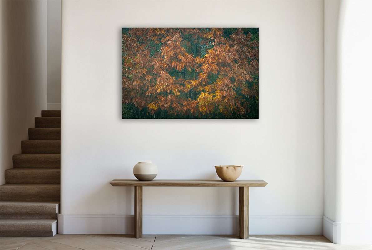 Hoe kies je wanddecoratie
