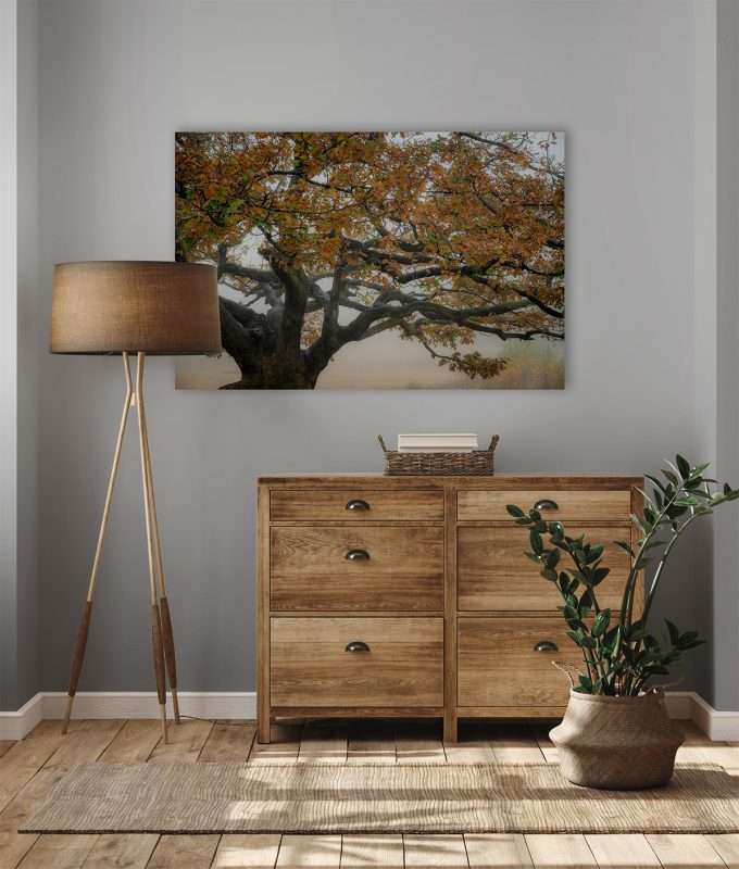 bijpassende decoratie voor de muur in je woonkamer