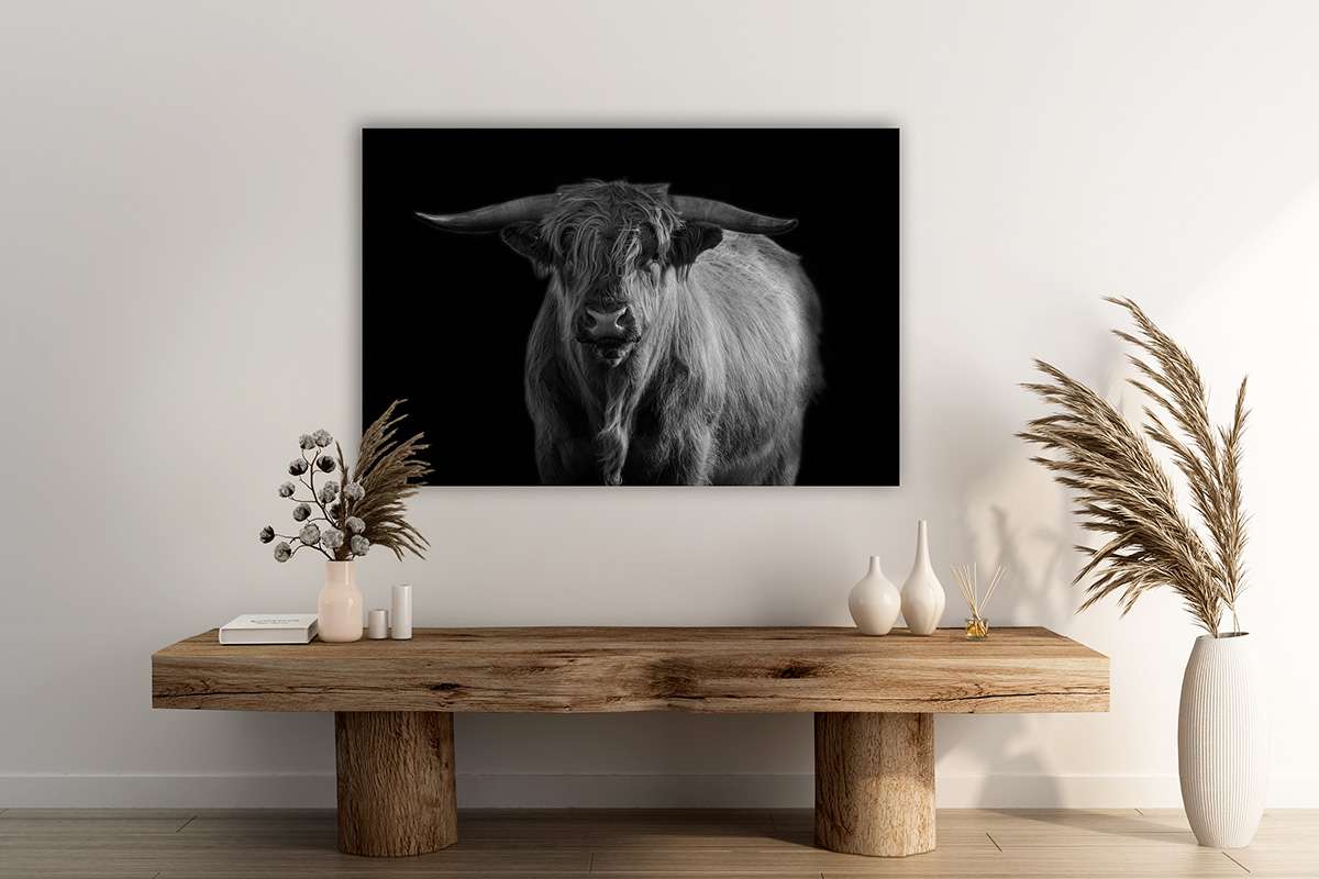 betaalbare kunst - zwart wit collectie