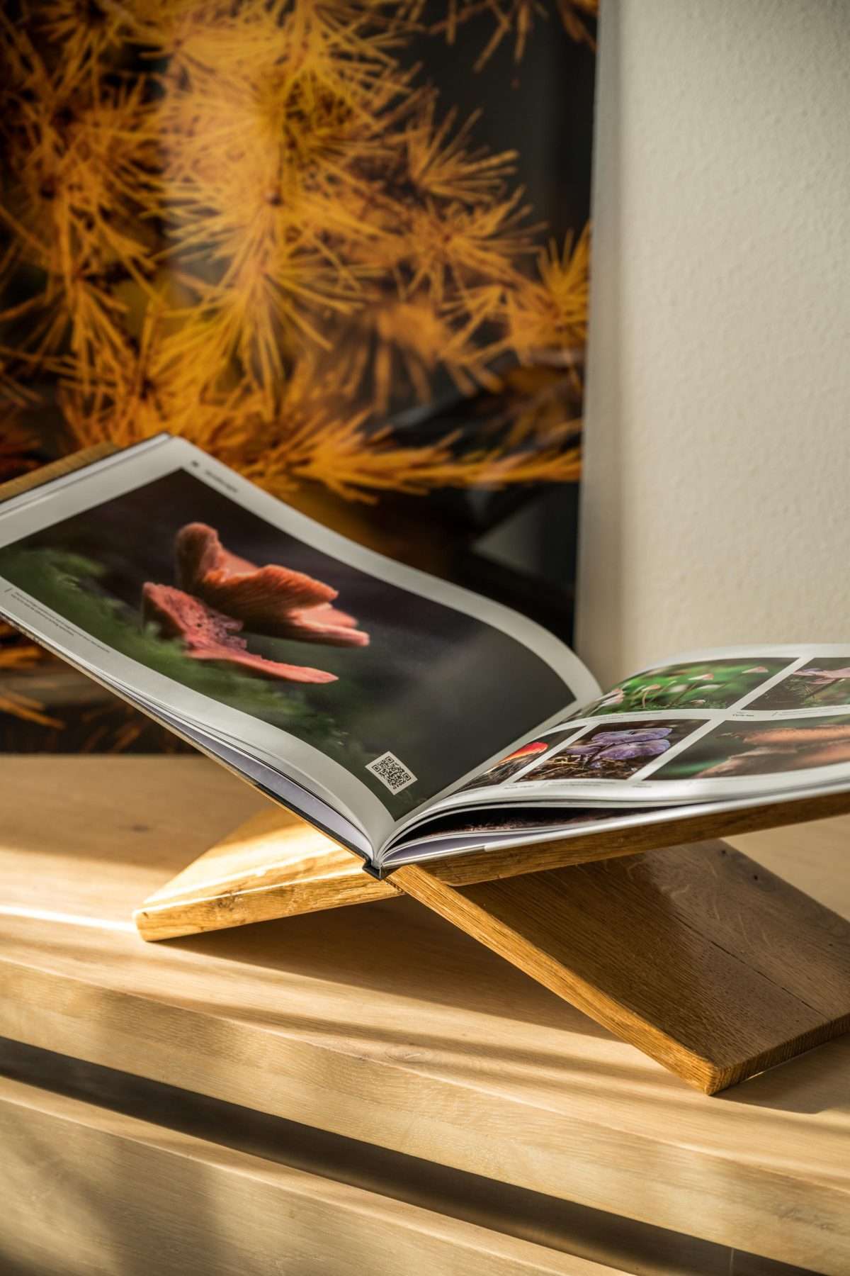 Exclusieve Boekenstandaard